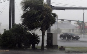 Bão số 3 giật cấp 11 mở rộng vùng ảnh hưởng trực tiếp từ Thái Bình đến Quảng Bình