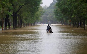 Có 8 đến 10 cơn bão và áp thấp nhiệt đới trên Biển Đông