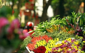 Hà Nội gió mùa Đông Bắc về