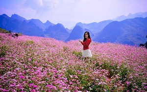 Miền Bắc chuẩn bị đón không khí lạnh mạnh vào cuối tuần