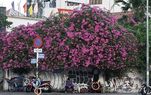 Không khí lạnh yếu, Hà Nội và miền Bắc chỉ se lạnh