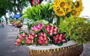 Hà Nội và miền Bắc có mưa nhỏ, cuối tuần có không khí lạnh mạnh