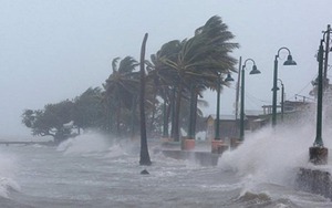 Áp thấp nhiệt đới giật cấp 9 gần Biển Đông khả năng mạnh lên thành bão số 9