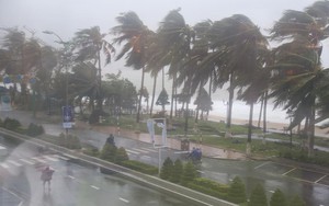 Bão số 9 tiếp tục mạnh lên giật cấp 12, biển động mạnh sóng cao 6 mét