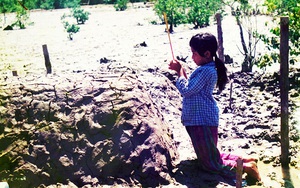 Nhìn lại bài học nơi 'trăm năm không có bão' để tránh lặp lại nỗi đau