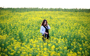 Miền Trung tiếp tục mưa, nguy cơ xảy ra lũ quét