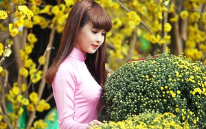 Dự báo thời tiết Tết nguyên đán Kỷ Hợi: Liệu có rét đậm rét hại?