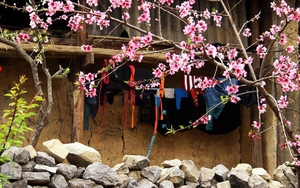 Hà Nội lạnh 8 độ, áp thấp nhiệt đới sau khi suy yếu lại mạnh lên thành bão