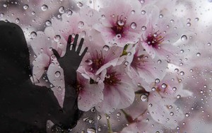 Bắc Bộ mưa diện rộng, Nam Bộ trời nắng và dự báo thời tiết 10 ngày tới