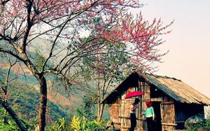 Dự báo thời tiết đêm 5 ngày 6/1: Bắc bộ trời rét, Nam bộ ngày nắng, đêm mưa dông