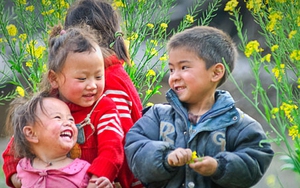 Dự báo thời tiết đêm 23 và ngày 24/1: Miền Bắc vẫn rét đậm