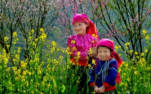 Dự báo thời tiết từ nay đến Tết Nguyên đán