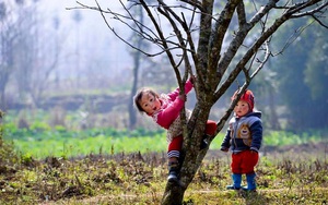 Không khí lạnh mạnh đang tràn xuống, Bắc Bộ rét đậm rét hại, Trung Bộ mưa to