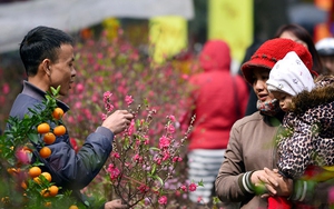 Không khí lạnh tăng cường, miền Bắc mưa lạnh