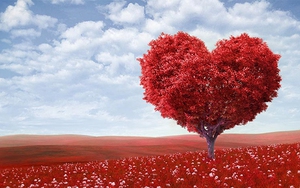 Ảnh bìa Facebook chào đón ngày đặc biệt Lễ Tình nhân Valentine 2019