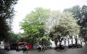 Không khí lạnh, miền Bắc mưa rét, Hà Nội lạnh 16 độ C, vùng núi đề phòng thời tiết nguy hiểm