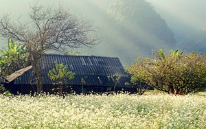 Dự báo thời tiết 14/3: Bắc Bộ giảm mưa trời hửng nắng, Nam Bộ tiếp tục nắng nóng