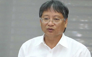 Vụ án Vũ ' nhôm' và đồng phạm: Khởi tố Nguyên Phó chủ tịch Đà Nẵng Nguyễn Ngọc Tuấn và 4 bị can