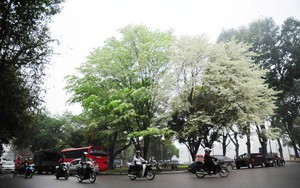 Không khí lạnh tràn về, Hà Nội và cả nước đều có mưa