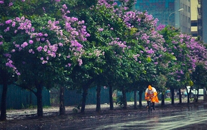 Dự báo thời tiết ngày 21/5: Miền Bắc và miền Trung có mưa dông diện rộng