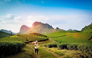 Dự báo thời tiết: Miền Bắc nóng gay gắt, chiều tối và đêm có mưa dông