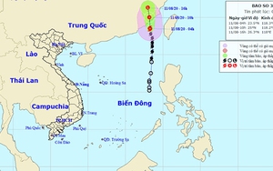 Bão số 3 đổ bộ vào Trung Quốc, nhiều vùng biển động rất mạnh