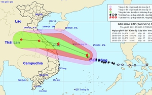Bão số 5 đi vào đất liền các tỉnh từ Quảng Bình đến Quảng Nam