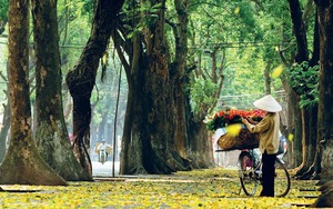 Miền Bắc đón không khí lạnh tăng cường, nhiệt độ giảm, mưa rất to