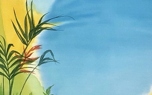 Biển sống: Ta sẽ sống thế nào khi làm biển chết?