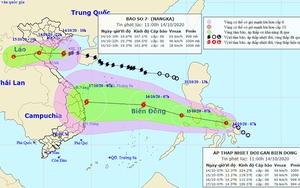 Bão số 7 cập nhật thông tin mới nhất