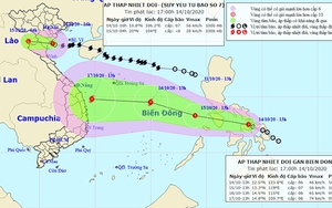 Bão số 7 vừa tan, dồn dập áp thấp nhiệt đới mạnh lên thành bão số 8 đổ bộ