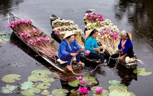 Góc nhìn 365: Khởi nghiệp sau lũ