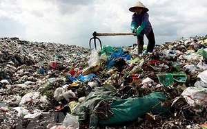 Đừng quên chuyện rác