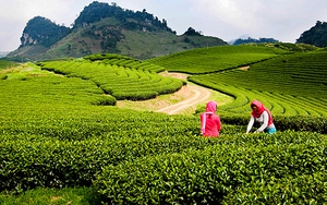 Không khí lạnh cường độ nhẹ tiếp tục tạo ra thời tiết dễ chịu