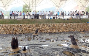 Bãi cọc Cao Quỳ: Góc nhìn mới về lịch sử Việt Nam