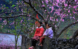 Miền Bắc trời rét kèm hanh khô, vùng núi rét đậm rét hại