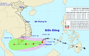 Bão số 14 suy yếu thành áp thấp nhiệt đới, Quảng Ngãi đến Bình Thuận mưa rất to