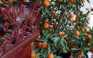 Văn khấn Rằm tháng 11 Âm lịch