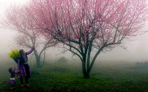 Không khí lạnh tràn về miền Bắc, Hà Nội lạnh 7 độ C