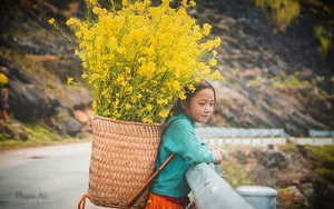 Không khí lạnh đang suy yếu dần nhưng miền Bắc vẫn rét đậm rét hại