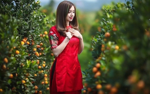 Thời tiết Tết Nguyên đán Tân Sửu 2021 sẽ ấm hơn nhiều năm