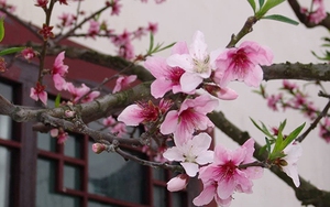 Thời tiết hôm nay: Bắc Bộ và Trung Bộ mưa nhỏ trời rét