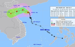 Tin bão mới nhất cơn bão số 7