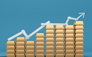 Giá vàng hôm nay 13/11: Cập nhật diễn biến mới trên thị trường