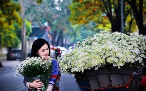 Gió mùa Đông Bắc mang không khí lạnh tràn xuống miền Bắc