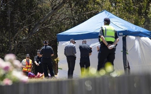 Tai nạn lâu đài hơi làm ít nhất 4 em nhỏ thiệt mạng