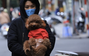 Hình ảnh người Hà Nội đón đợt rét đậm đầu tiên của mùa Đông 2021