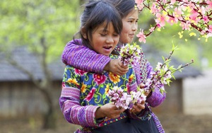 Thời tiết ngày 29 Tết: Không khí lạnh tăng cường, miền Bắc lạnh thêm