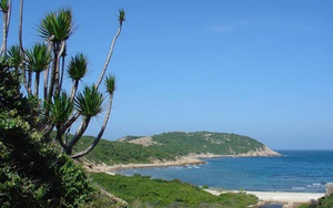 Đón Bằng công nhận Khu dự trữ sinh quyển thế giới Núi Chúa và Bằng xếp hạng Di tích Quốc gia danh lam thắng cảnh vịnh Vĩnh Hy