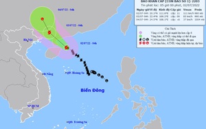 Bão số 1 mạnh giật cấp 14, từ đêm nay miền Bắc mưa dông